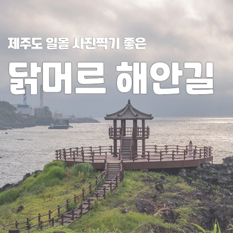  제주도 일몰 사진찍기 좋은 "닭머르 해안길"