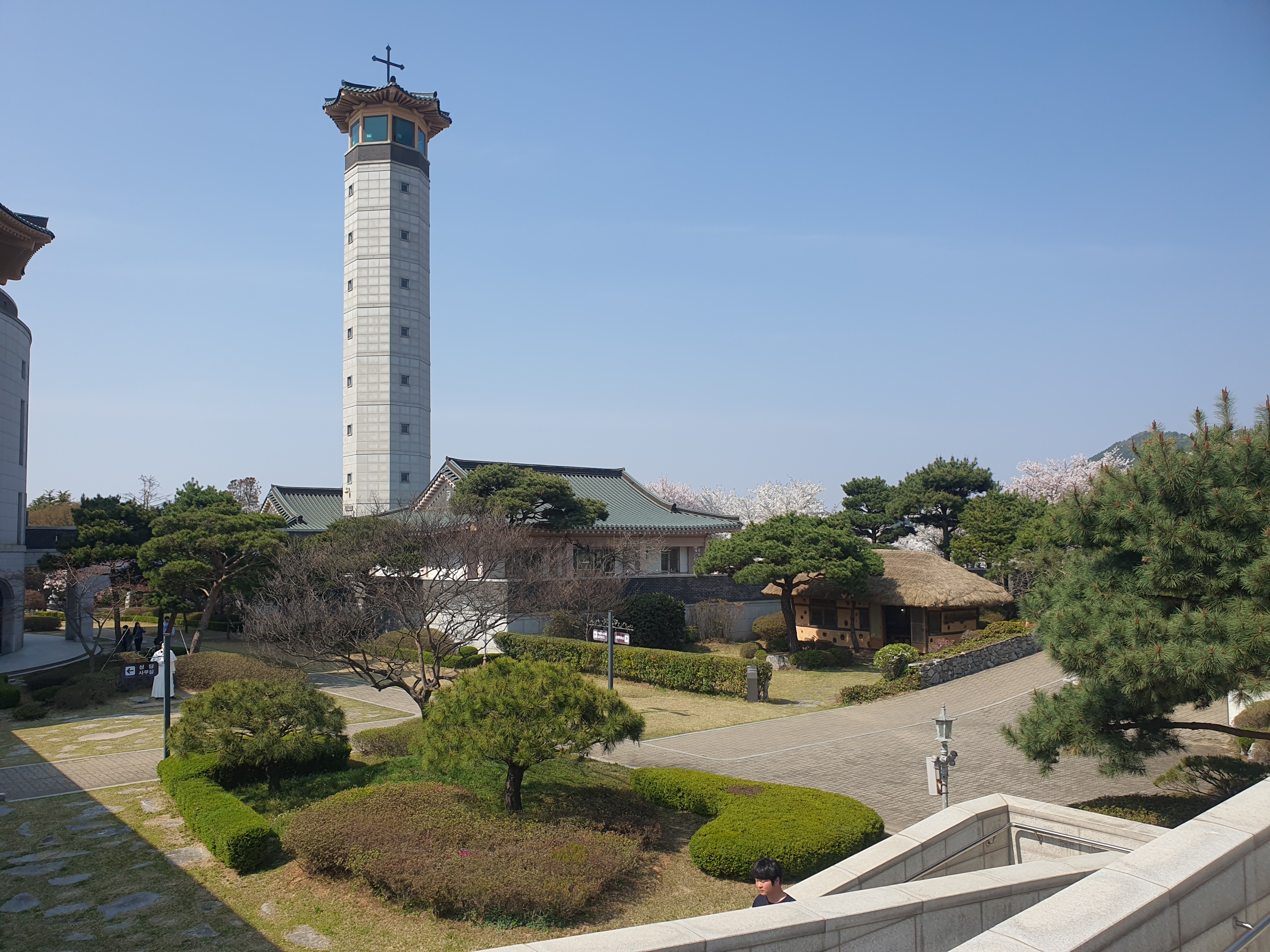 서산 벚꽃 명소 해미천, 산책 루트 사진 찍기 좋은 포인트