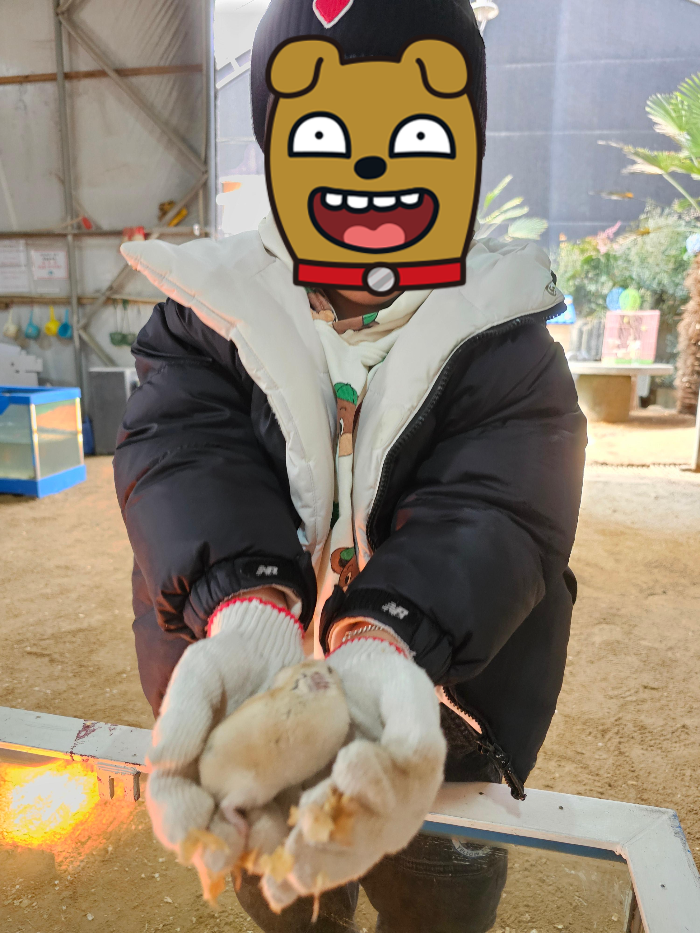 햄스터를 손위에 놓고 직접 체험하는 아이