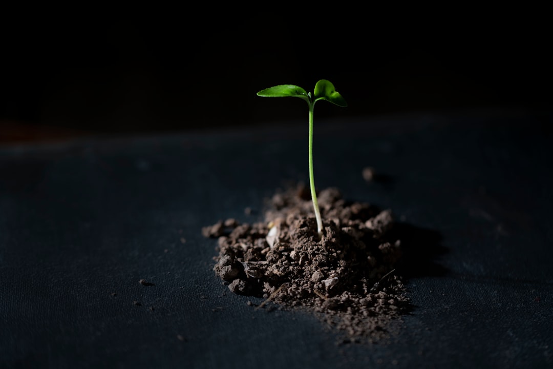 Seed Fund