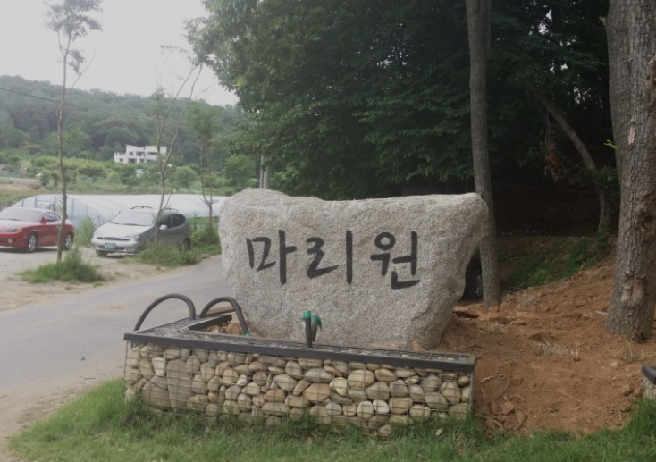  강화 마리원 캠핑장 이용후기 장점과 단점 (feat. 애견동반)
