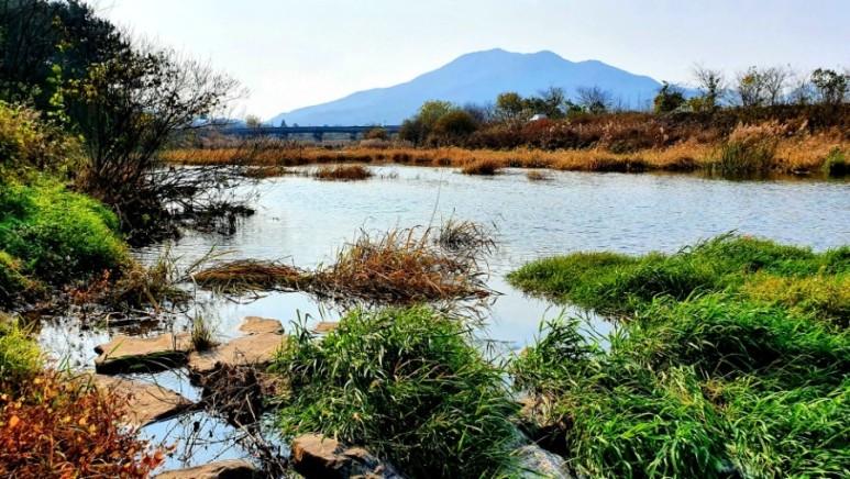 - 수덕사, 명상치유림길과 수암산의 가을 예산으로 볼거리, 단풍여행 3