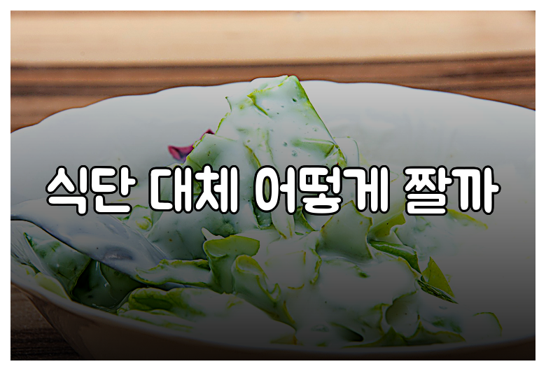 식단 대체 어떻게 짤까