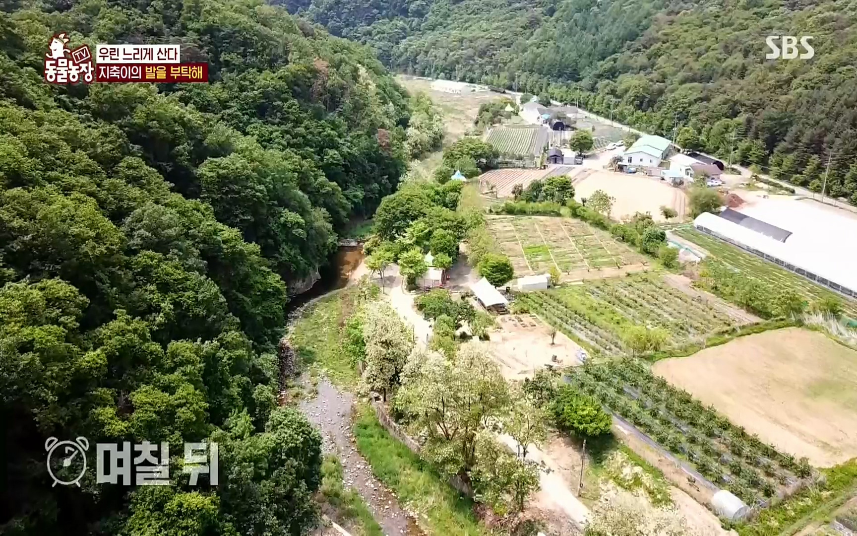 TV 동물농장.E1074.220619p.H264-F1RST.mp4_20220619_181927.733.jpg