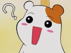 물음표짤 왜짤 왜죠짤 왜 짤방모음 왜저래짤 약속거절짤 회식거절짤 물음표짤 왜짤 왜죠짤 왜 짤방모음 왜저래짤 약속거절짤 회식거절짤