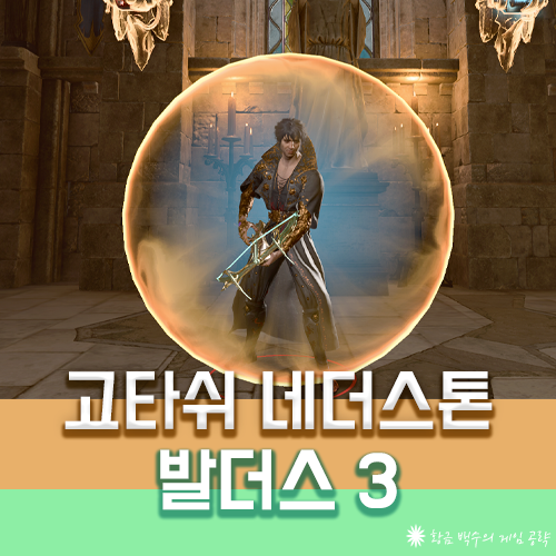 발더스3 고타쉬 네더스톤