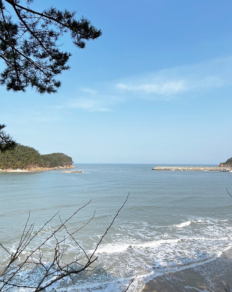 천리포 수목원 태안여행코스 놀거리 먹거리 가득 40