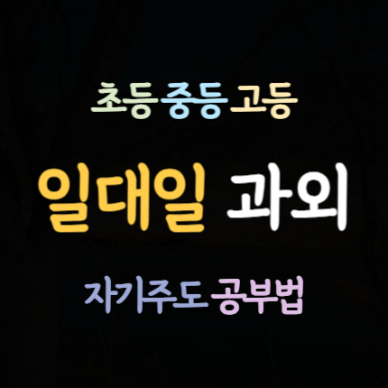  평촌동 중학생 수학과외 안양 호계동 영어과외 초등 중등 고등 국어 내신 전문 일대일 과외 하위권 중위권