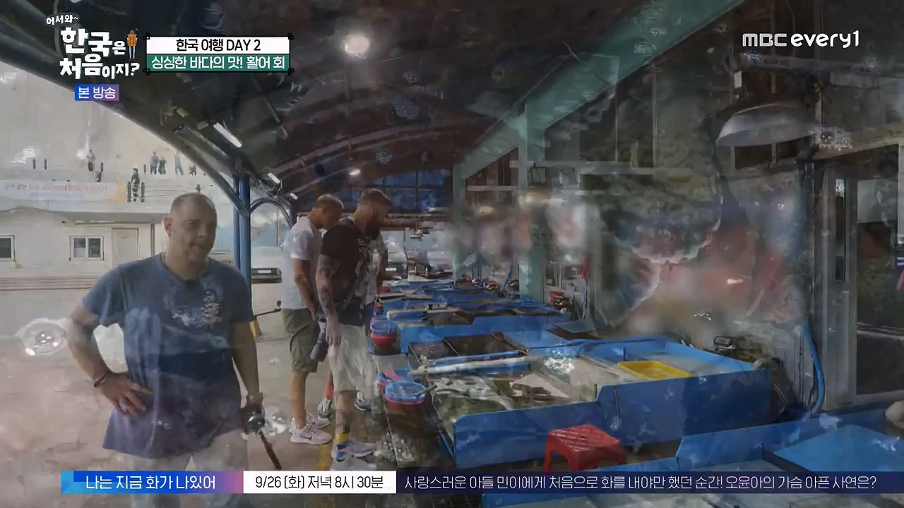어서와 한국은 처음이지 시즌2.E281.230922p-NEXT.mp4_20230923_174706.822.jpg