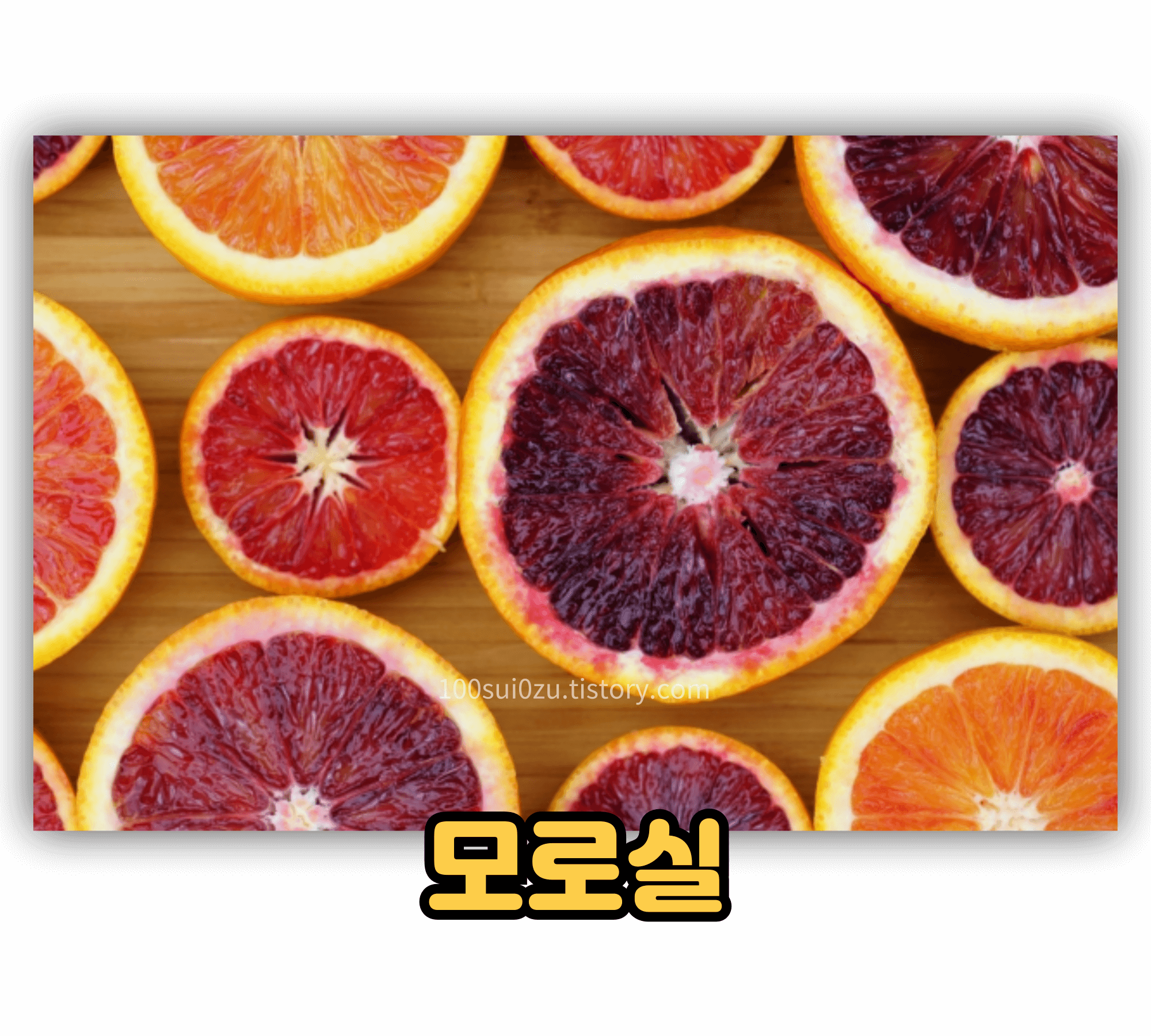 모로실.jpg