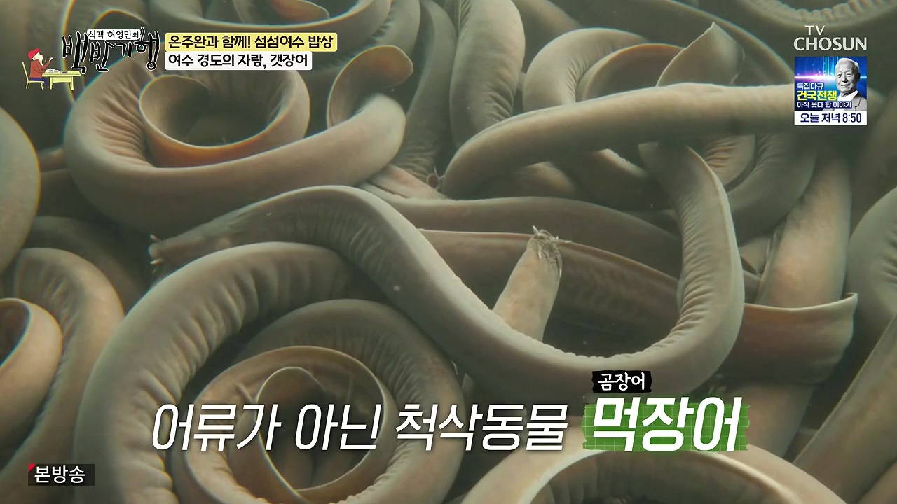 식객 허영만의 백반기행.E253.240624p-NEXT.mp4_20240624_194855.714.jpg
