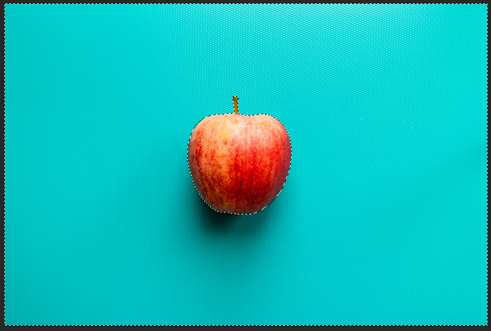 선택 영역 예시 이미지