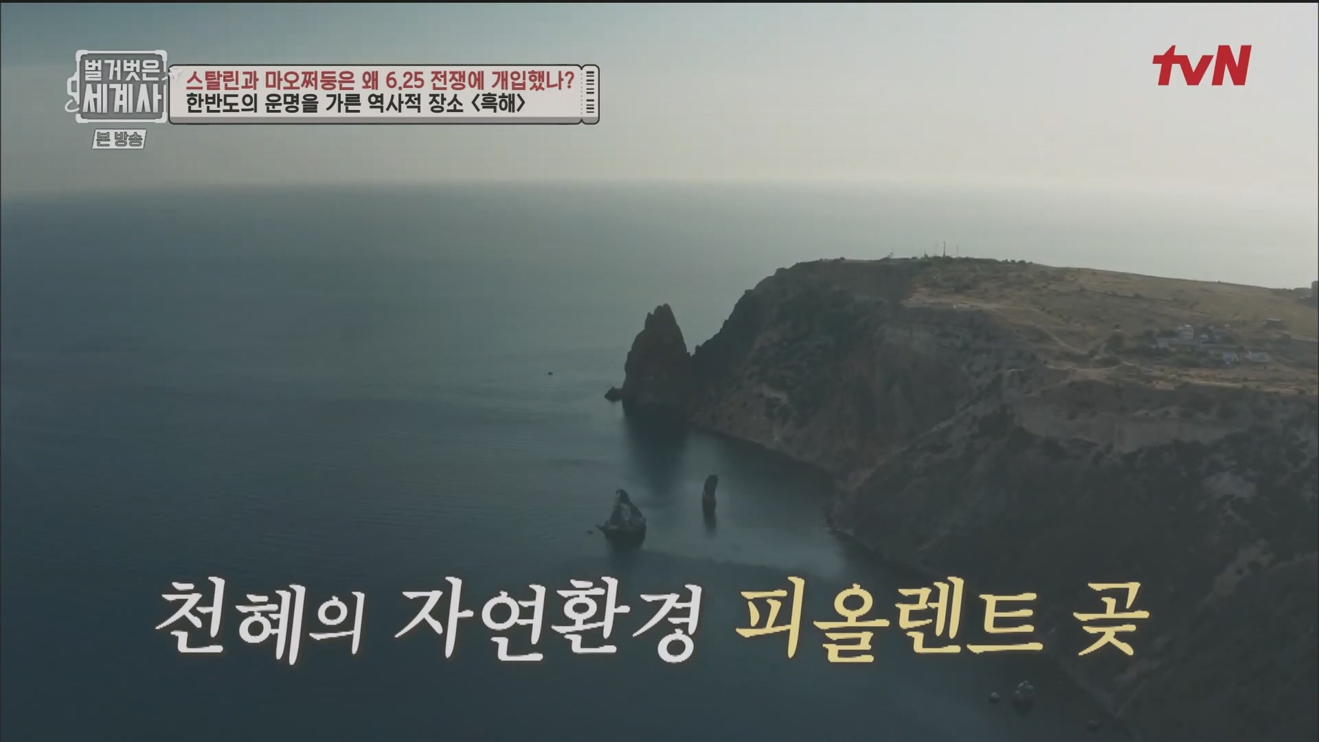 벌거벗은 세계사.E114.230829p.H264-F1RST.mp4_20240302_173229.583.jpg