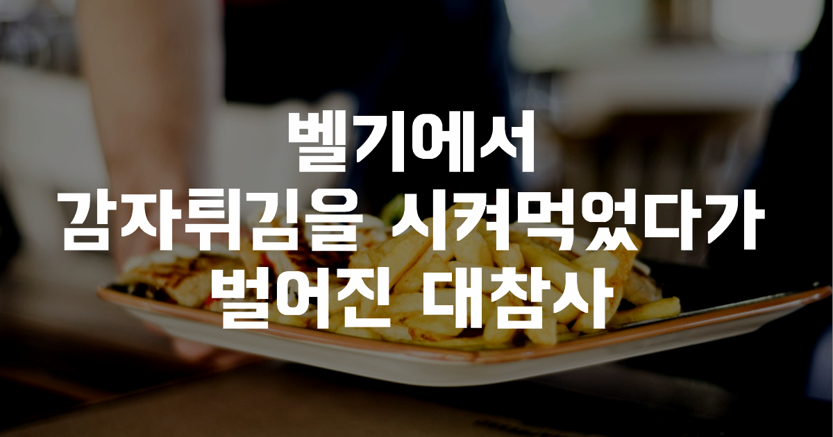  벨기에서 감자튀김을 시켜먹었다가 벌어진 대참사