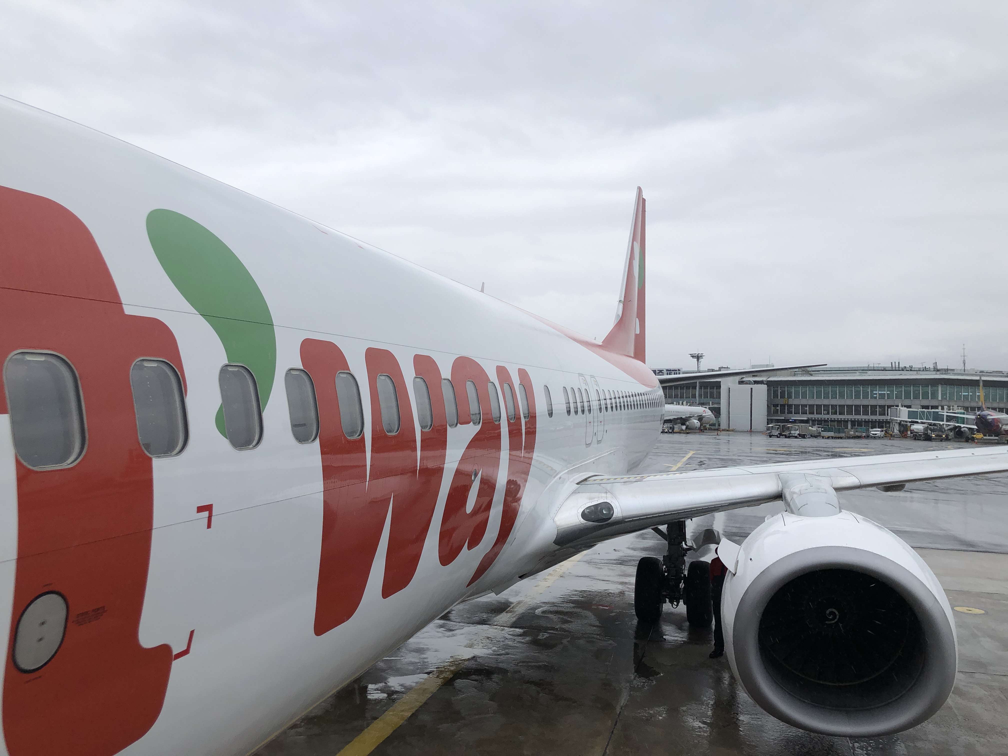  티웨이항공좌석 | 티웨이 사전좌석 구매 | 티웨이 좌석 구매 비용 | 티웨이항공 B737-800 좌석 | 티웨이항공 A330-300 좌석