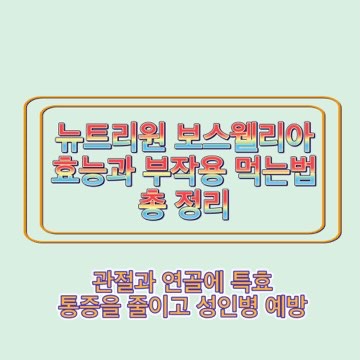 뉴트리-원-보스웰리아-효능-부작용-먹는법