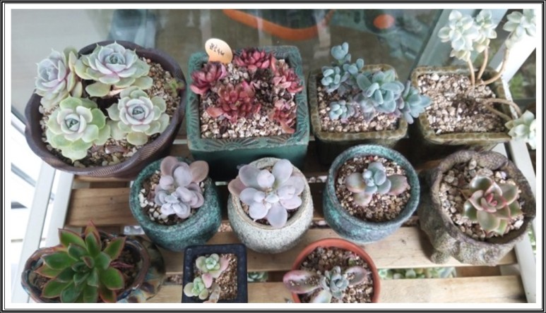 재난지원금주민센터 정부에서 신청 2