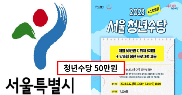  지역별 청년수당 : 청년 필수 신청