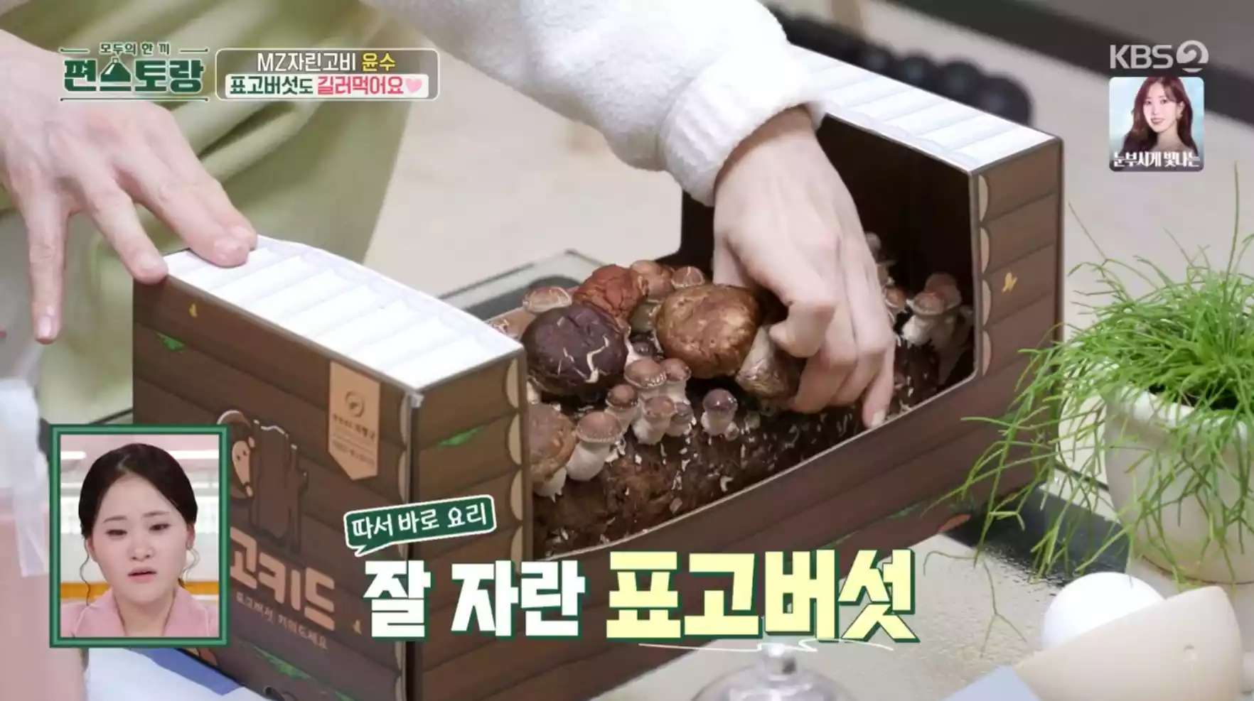 표고버섯