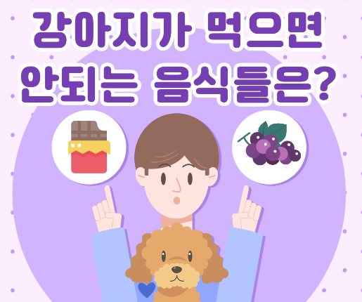  강아지가 먹으면 안되는 음식