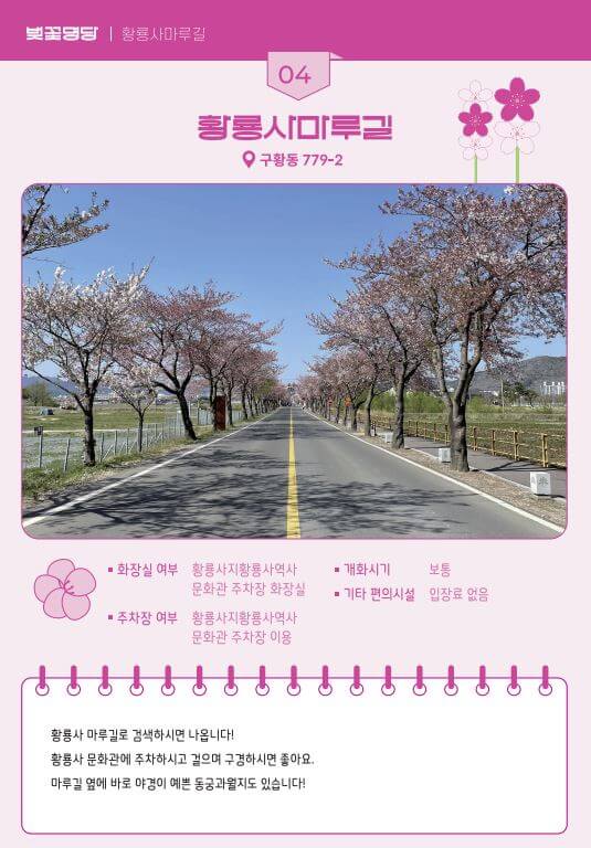 벚꽃-명당-황룡사마루길