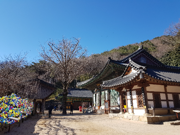  사자성어/토끼(兎)와 관련된 사자성어(四字成語)10가지
