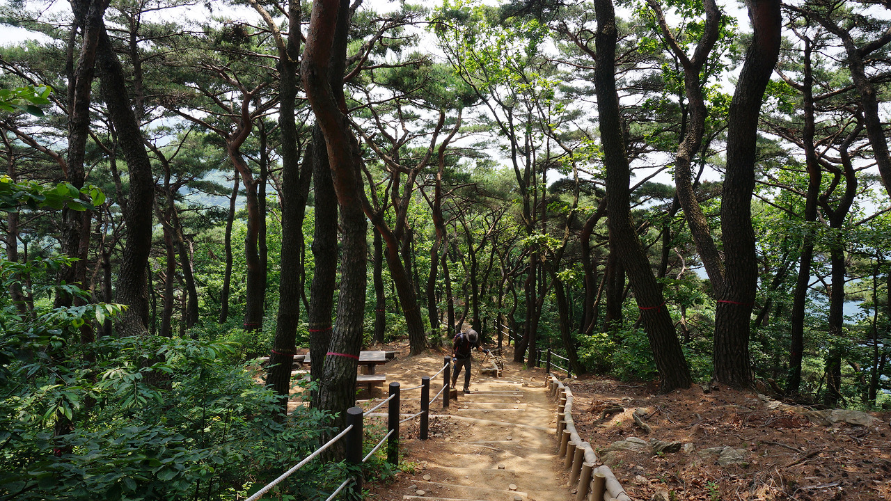 과천 청계산