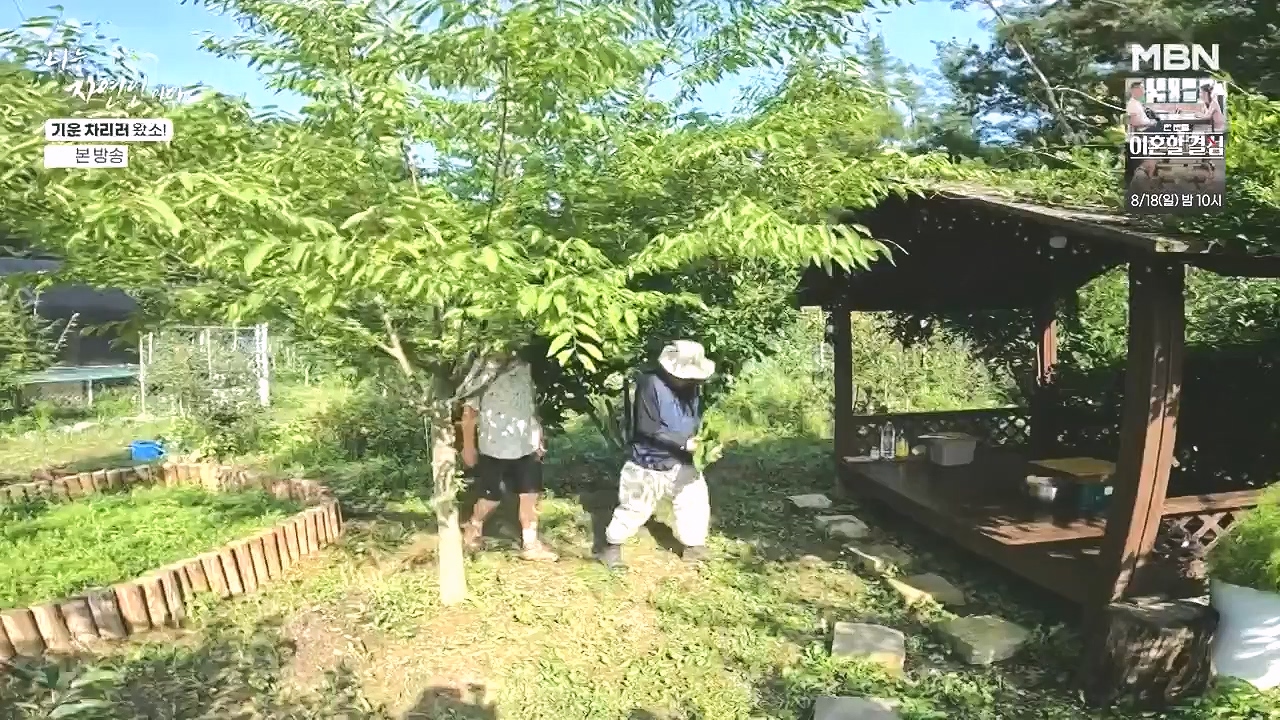 나는 자연인이다.E617.240808p-NEXT.mp4_20240808_195048.182.jpg