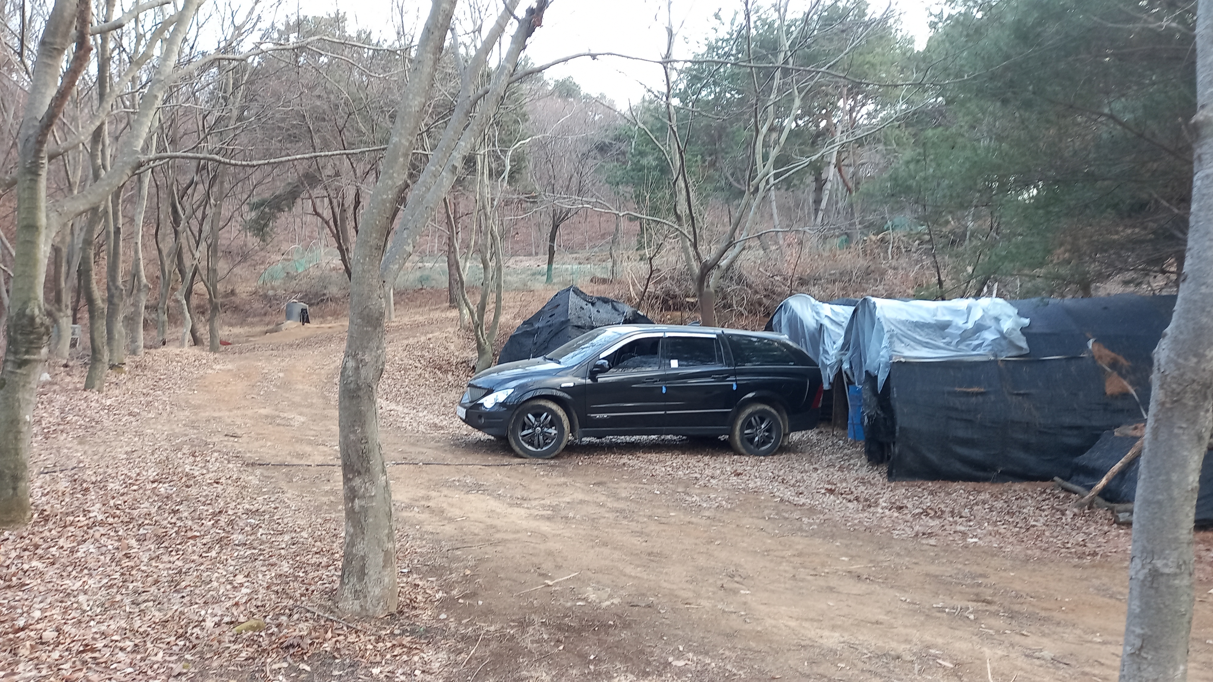 영상일기/20230216/나대자연 29