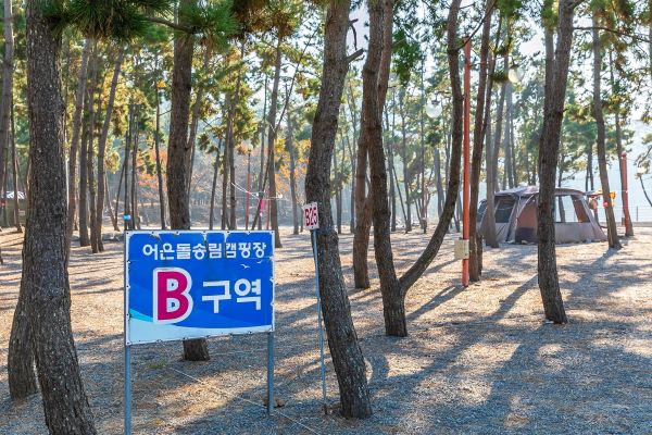 캠핑장b구역