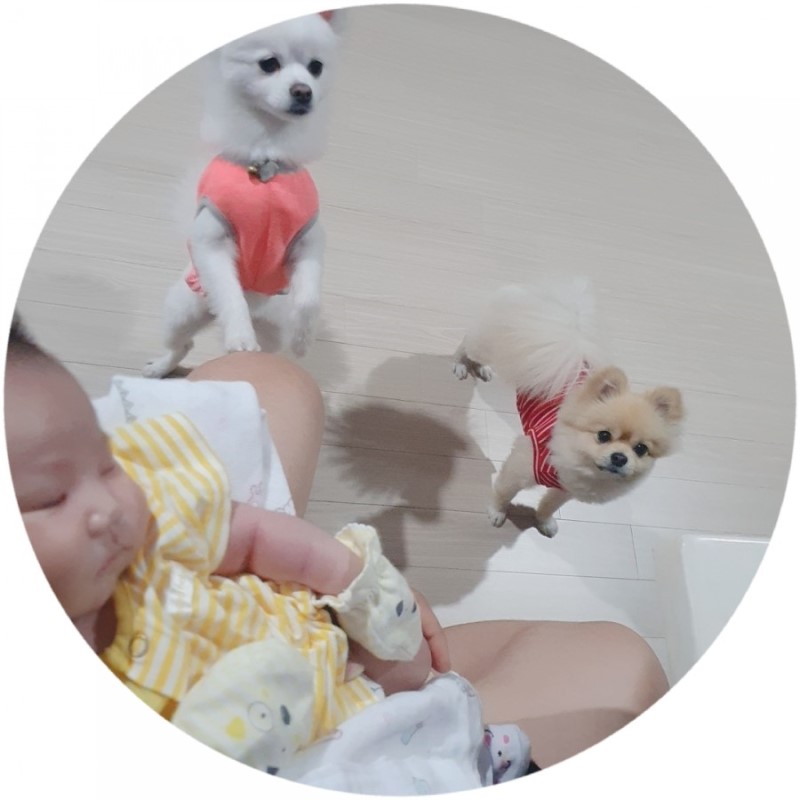  기적의 속싸게  우는아이 이제 스와들업 뱀부라이트로 해결해 보세요~^^