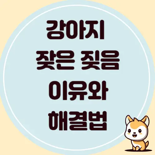 강아지 잦은 짖음 이유와 해결법