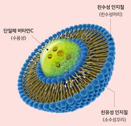 하루틴 리포좀 비타민C