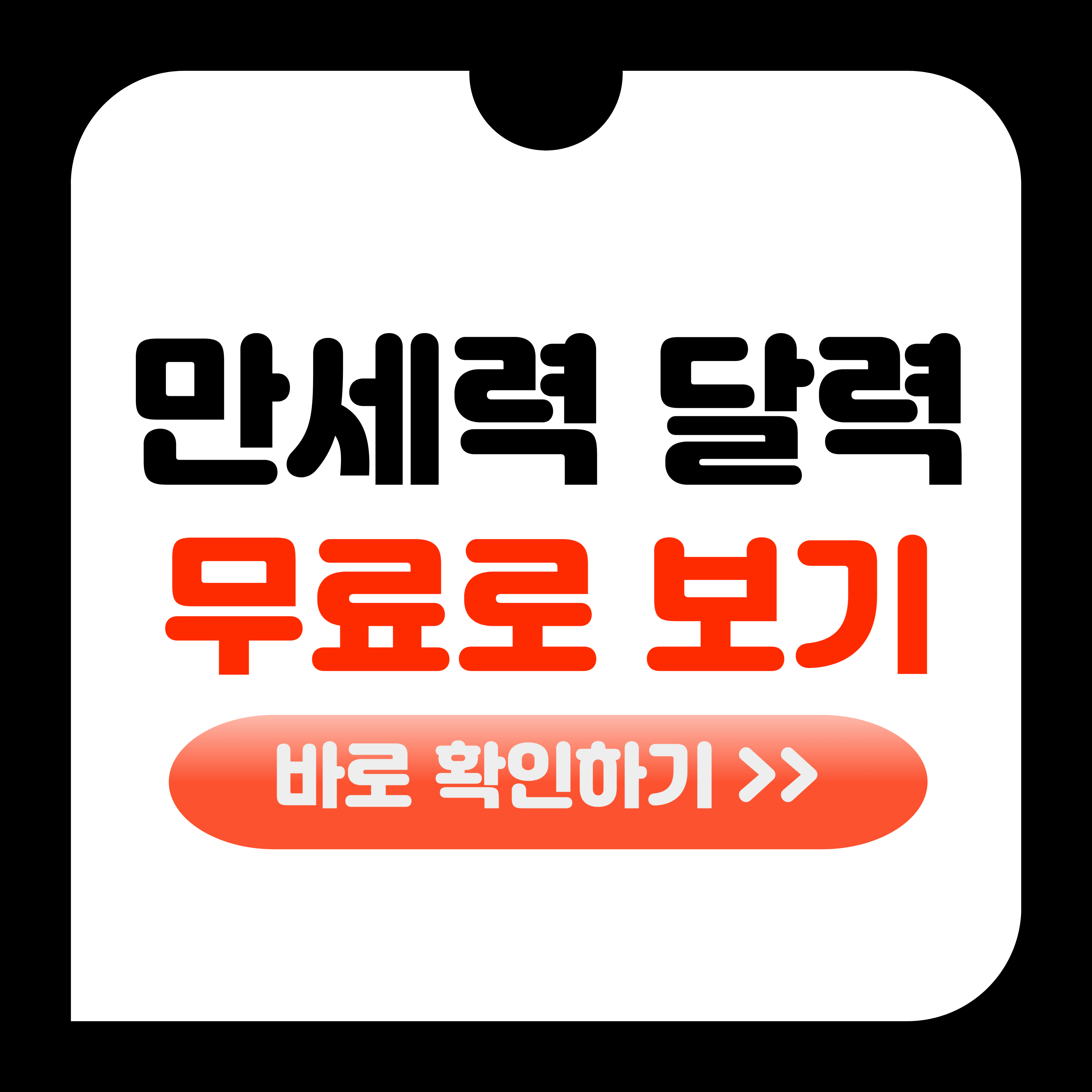만세력 달력 보기