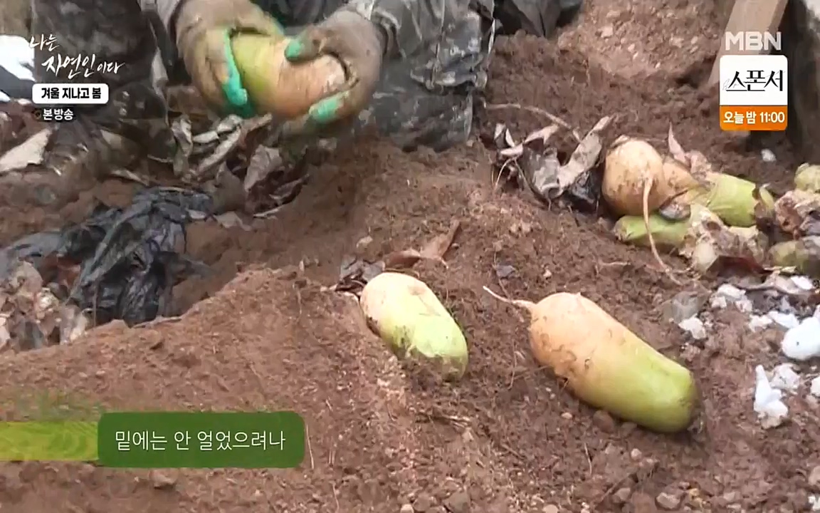 나는 자연인이다.E496.220407p-NEXT.mp4_20220407_175821.754.jpg