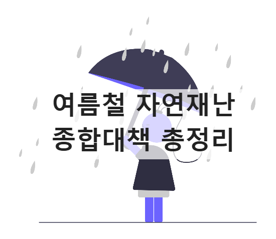 여름철 자연재난 종합대책 총정리