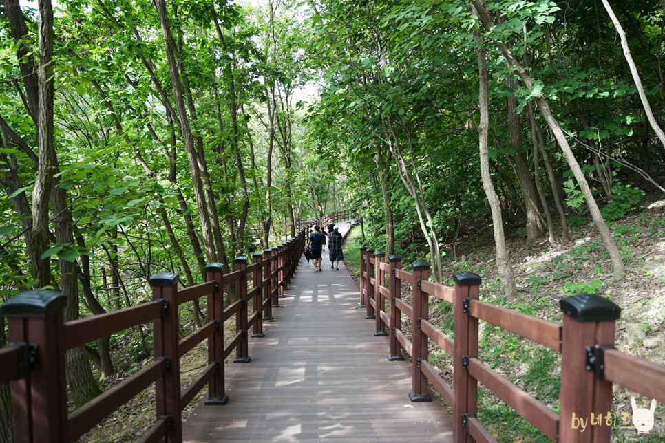 연천재인폭포 주상절리 18