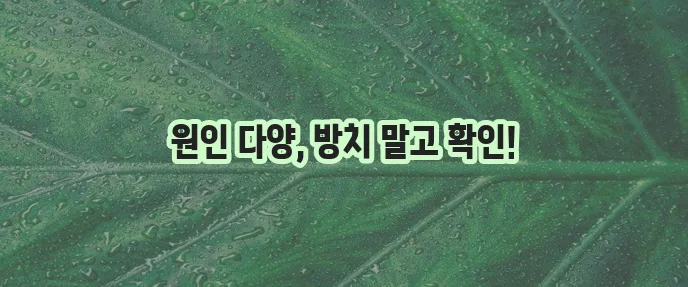 한쪽 발등 부음 원인과 치료 방법 확실히 알아봐야 합니다.