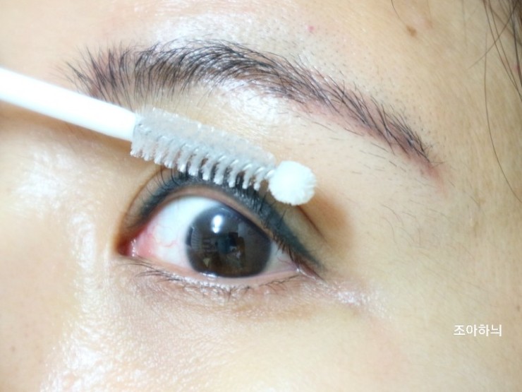 속눈썹 자라는 법 추천 속눈썹 영양제 땜납난 16
