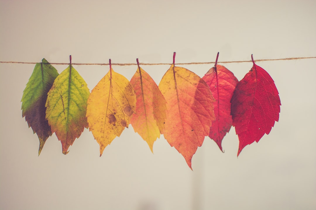 Color