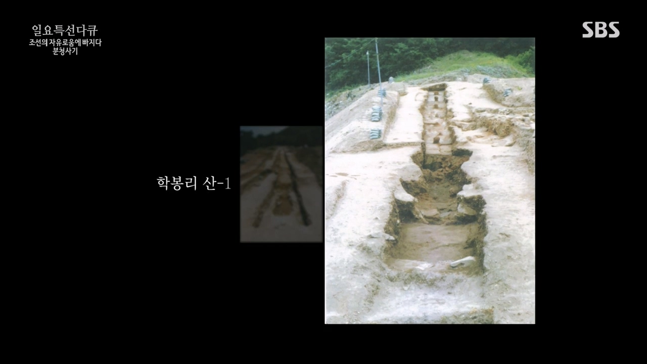 일요특선 다큐멘터리.E338.240129p-NEXT.mp4_20240129_204911.714.jpg