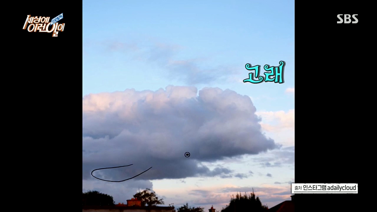 순간포착 세상에 이런일이.E1203.221026p.H264-F1RST.mp4_20221026_185302.842.jpg