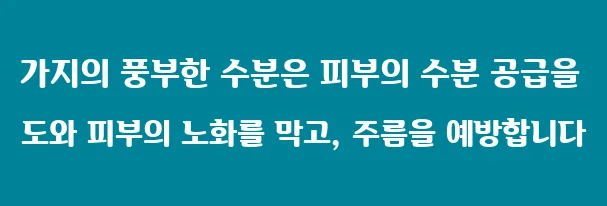 가지의 풍부한 수분은 피부의 수분 공급을 도와 피부의 노화를 막고, 주름을 예방합니다