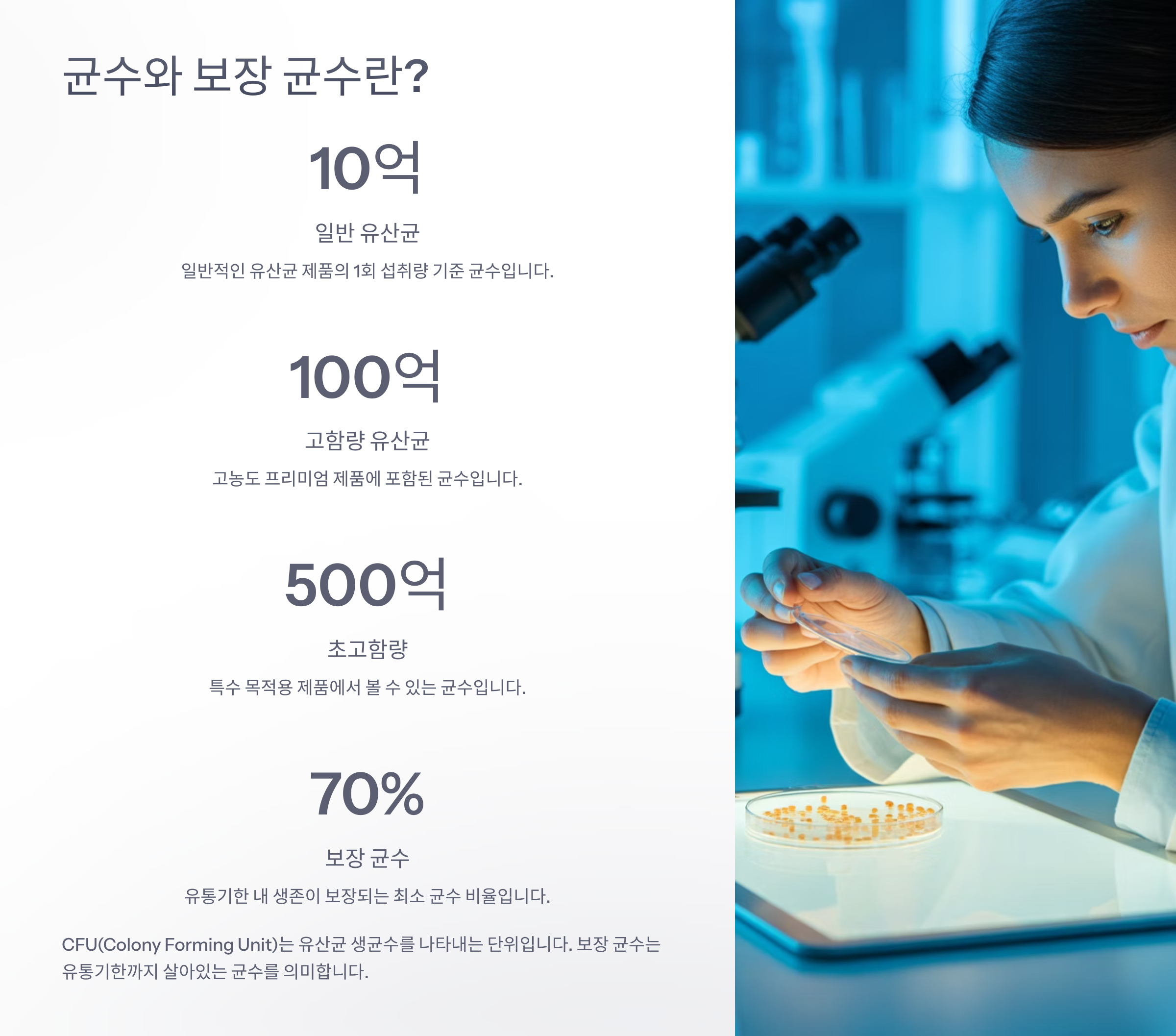 🔢 균수와 보장 균수란?