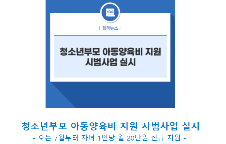 정부지원 사업