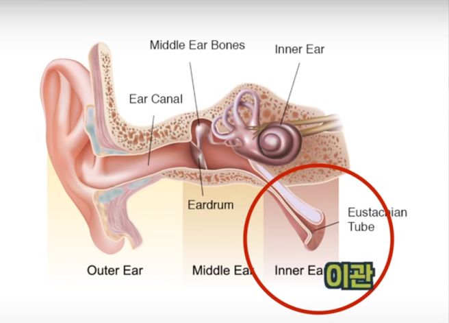 귀가 아픈 이유
