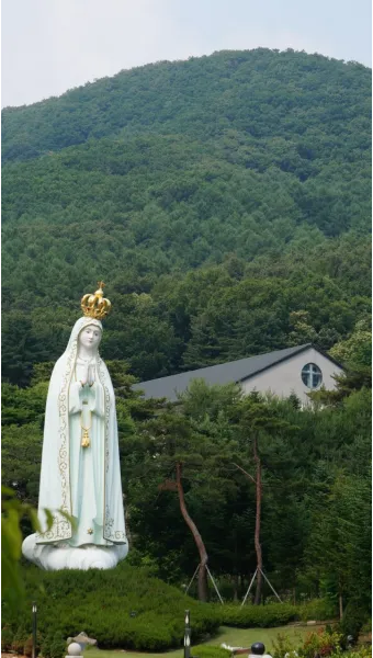 천진암 흰민들레 백양자연관찰로 괭이눈 개화_11