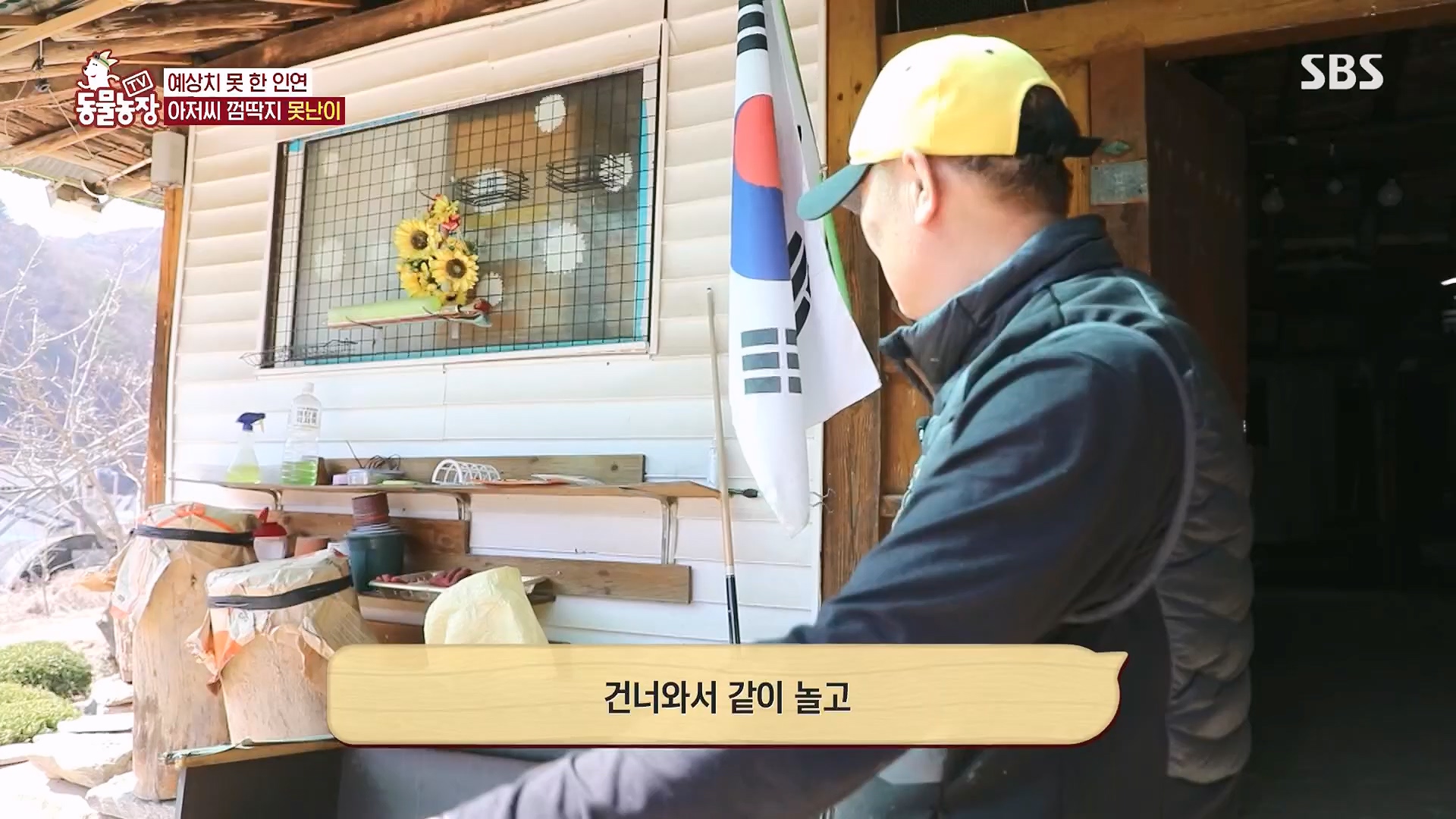 TV 동물농장.E1118.230430p.H264-F1RST.mp4_20230430_172402.198.jpg