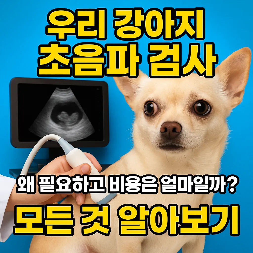 우리 강아지 초음파 검사, 왜 필요하고 비용은 얼마일까요? 모든 것 알아보기