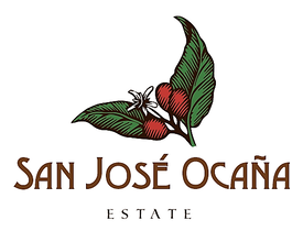 2019 San Jose Ocana Auction result (2019 산호세 오카나 옥션 결과)